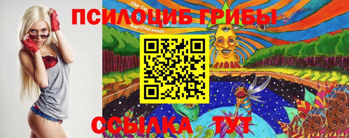 Ростов Великий  Псилоцибиновые грибы Cubensis  Вход с VPN 